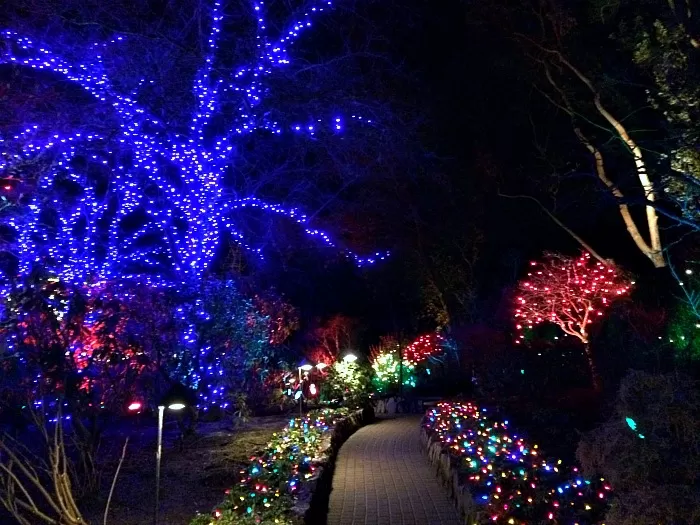 Christmas Time at Butchart Gardens