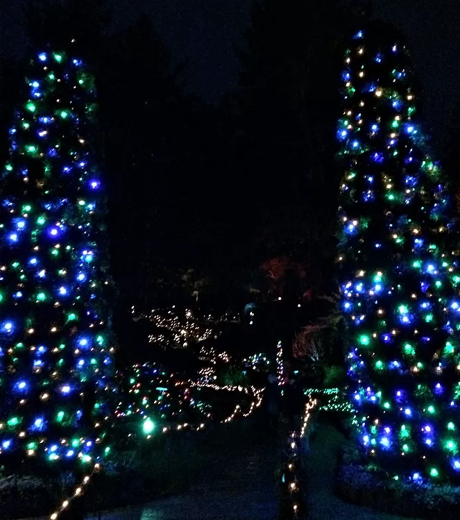 Seahawks Colors at Butchart Gardens