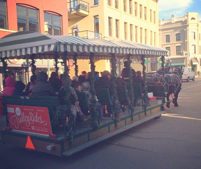 Victoria BC Horse Drawn Trolley Rides