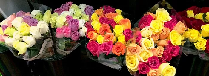 2 Dozen Roses at Costco for $16.99