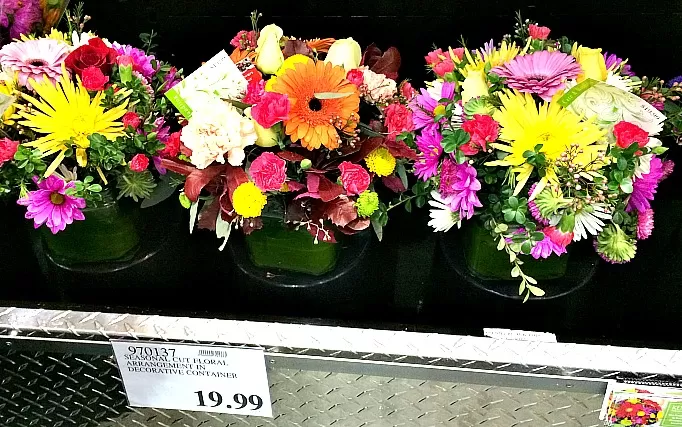 Costco Floral Arrangements for $19.99
