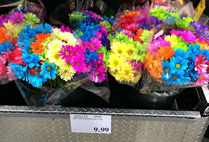 Costco Garden Bunch of Flowers for $9.99