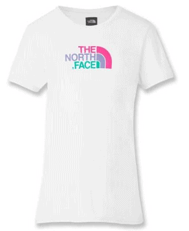 The North Face Multi Half Dome Crew T-Shirt