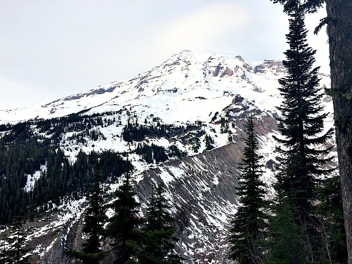 Mt Rainier Nisqually Vista View