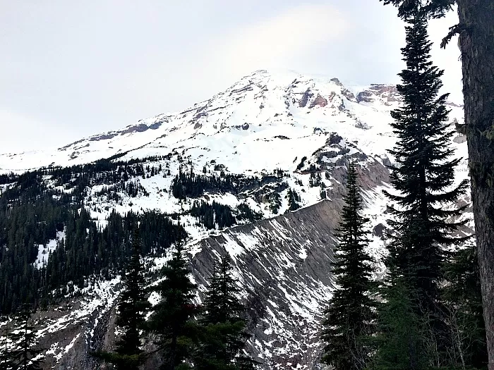 Mt Rainier Nisqually Vista View