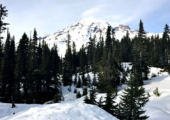 Mt Rainier during the winter