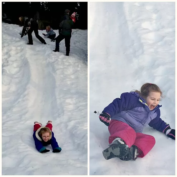 Sledding Fun at Mt Rainier