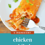 Chicken Enchiladas Recipe – Only 5 Ingredients!