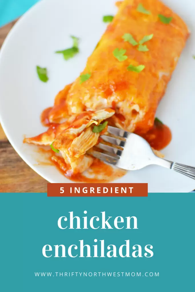 Chicken Enchiladas Recipe – Only 5 Ingredients!