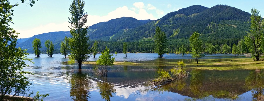 Cle Elum Lake near Roslyn