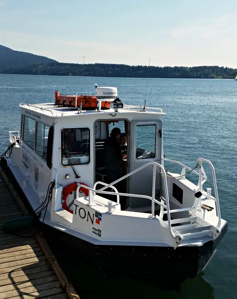 Whale Watching Boat in Bellingham