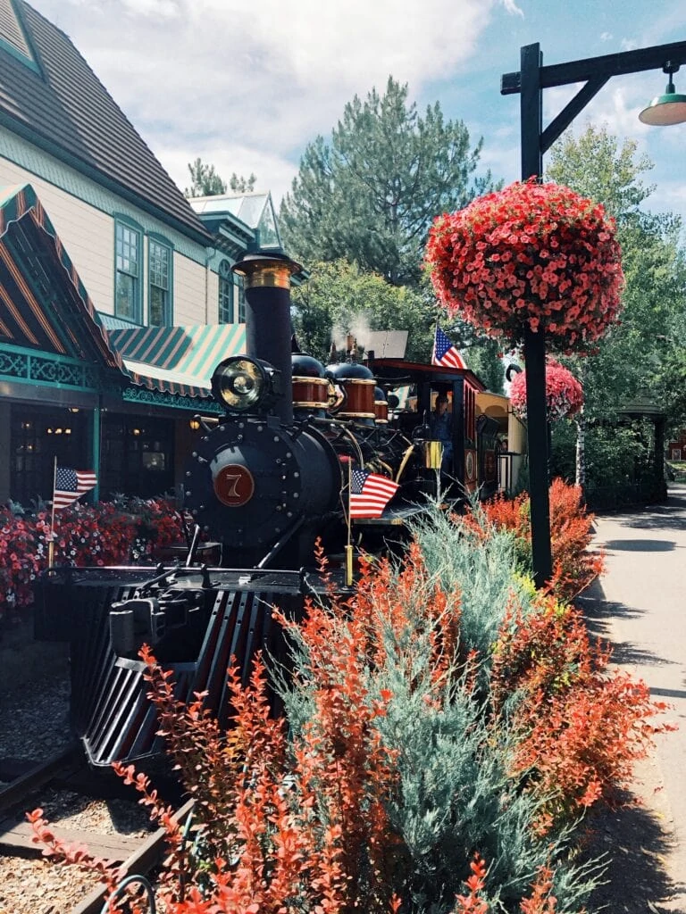 Silverwood Steam Train