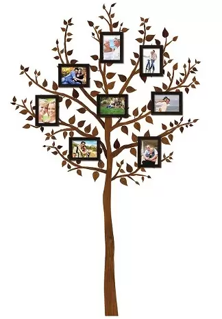 Boxed Set Tree Decal with Frames $12.24 (Reg $34.99)