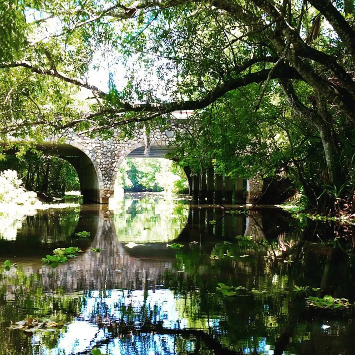 Canoeing the Loxahatchee River in Jupiter Florida