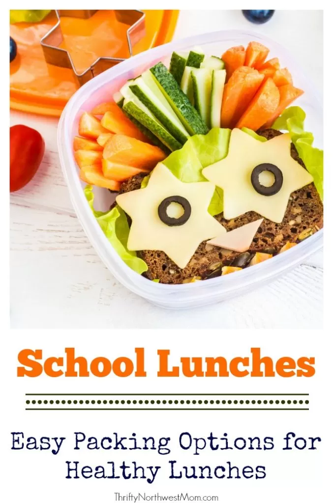 Lunch Box Cubes – Easy To Pack School Lunches + Fun Lunch Box Ideas!