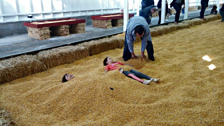 Carpinito Corn Pit