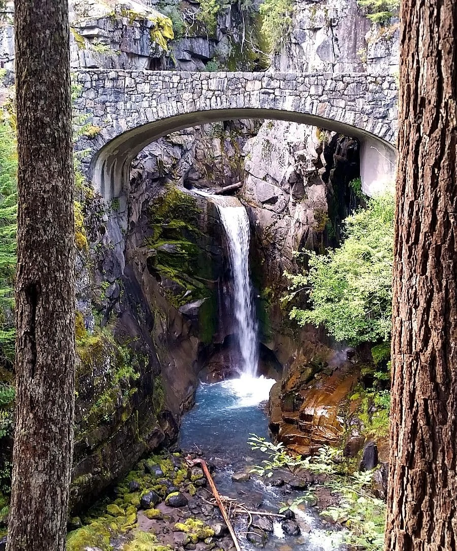 Christine Falls at Mount Rainier is a quick walk off the highway but so worth it for the views you'll find under the highway!