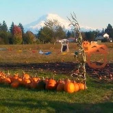 Double R Farms Pumpkin Patch