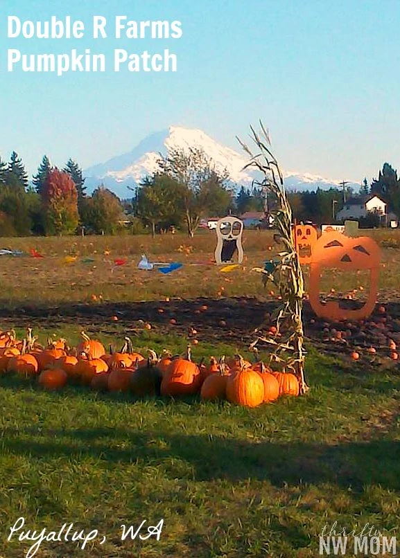 Double R Farms Pumpkin Patch