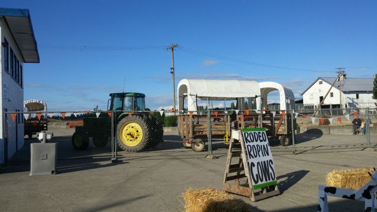 Hay Ride