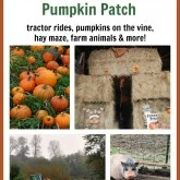 Hunter Farms Pumpkin Patch