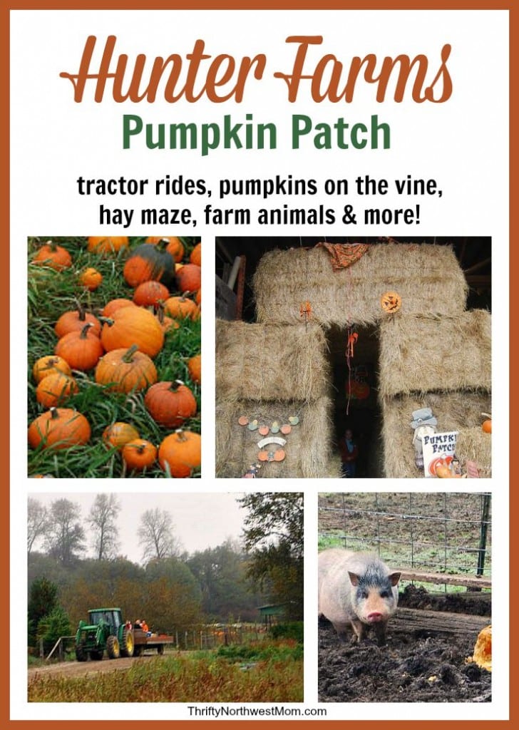 Hunter Farms Pumpkin Patch Review – Union, WA