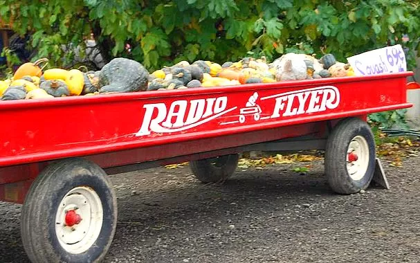 Gourds at Hunter Farms Pumpkin Patch