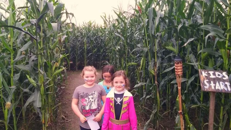 Thomas Family Farm Corn Maze