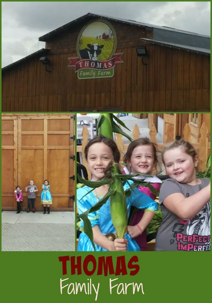 Thomas Farm in Snohomish – Great Pumpkin Farm Fun