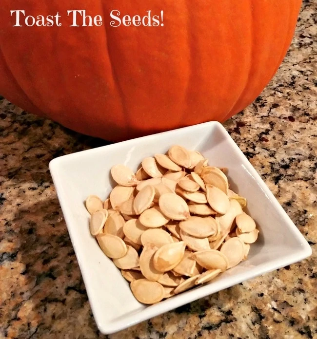 Pumpkin Seeds Toasted