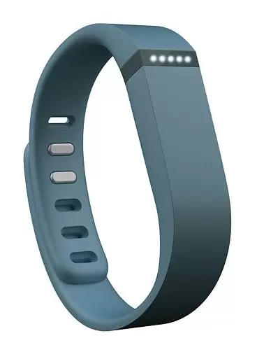 Fitbit Flex