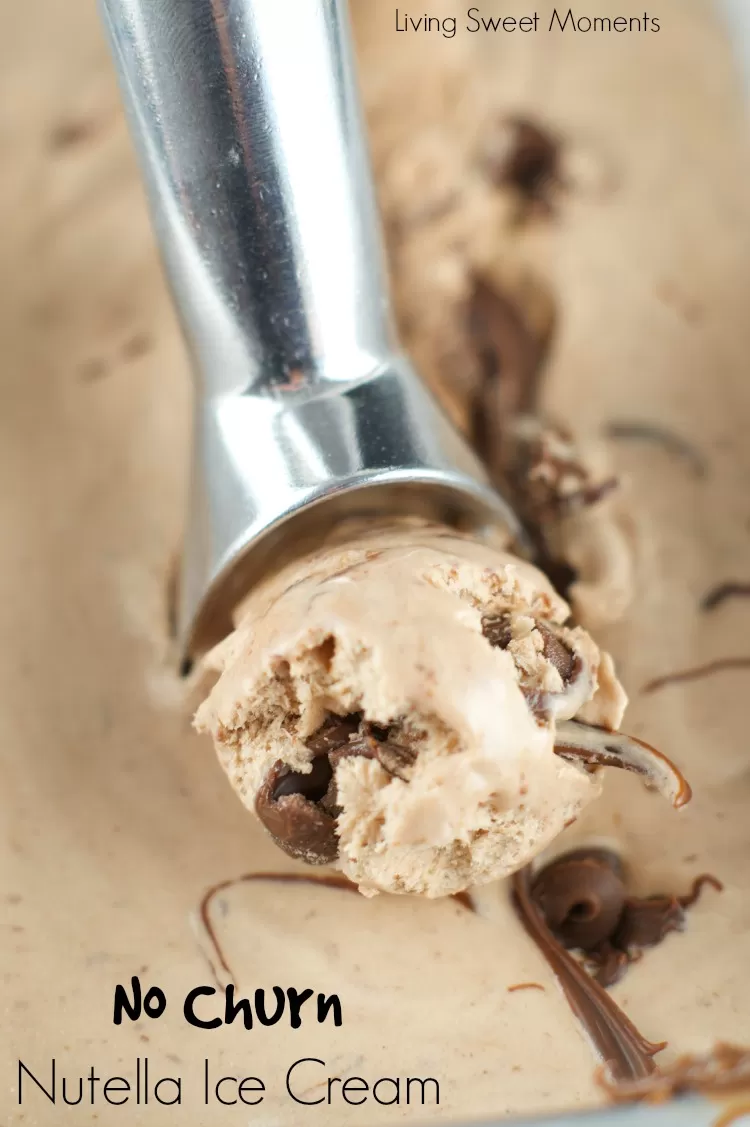 No Churn Nutella Ice Cream