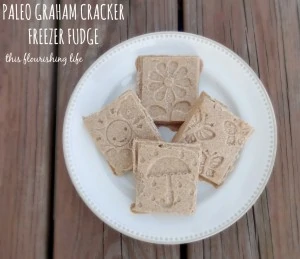 graham-cracker-fudge-1024x883