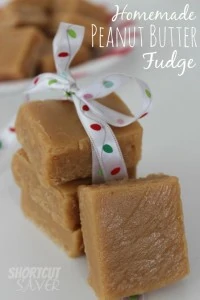 homemade-peanut-butter-fudge-620x930
