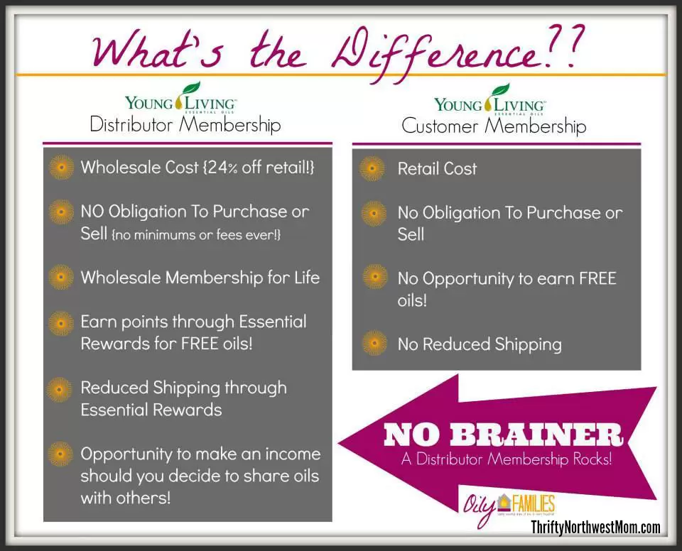 What's the difference between retail and wholesale customers