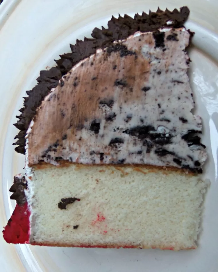 Ice Cream Cake Slice