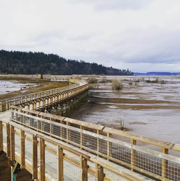 Nisqually Wildlife Refuge