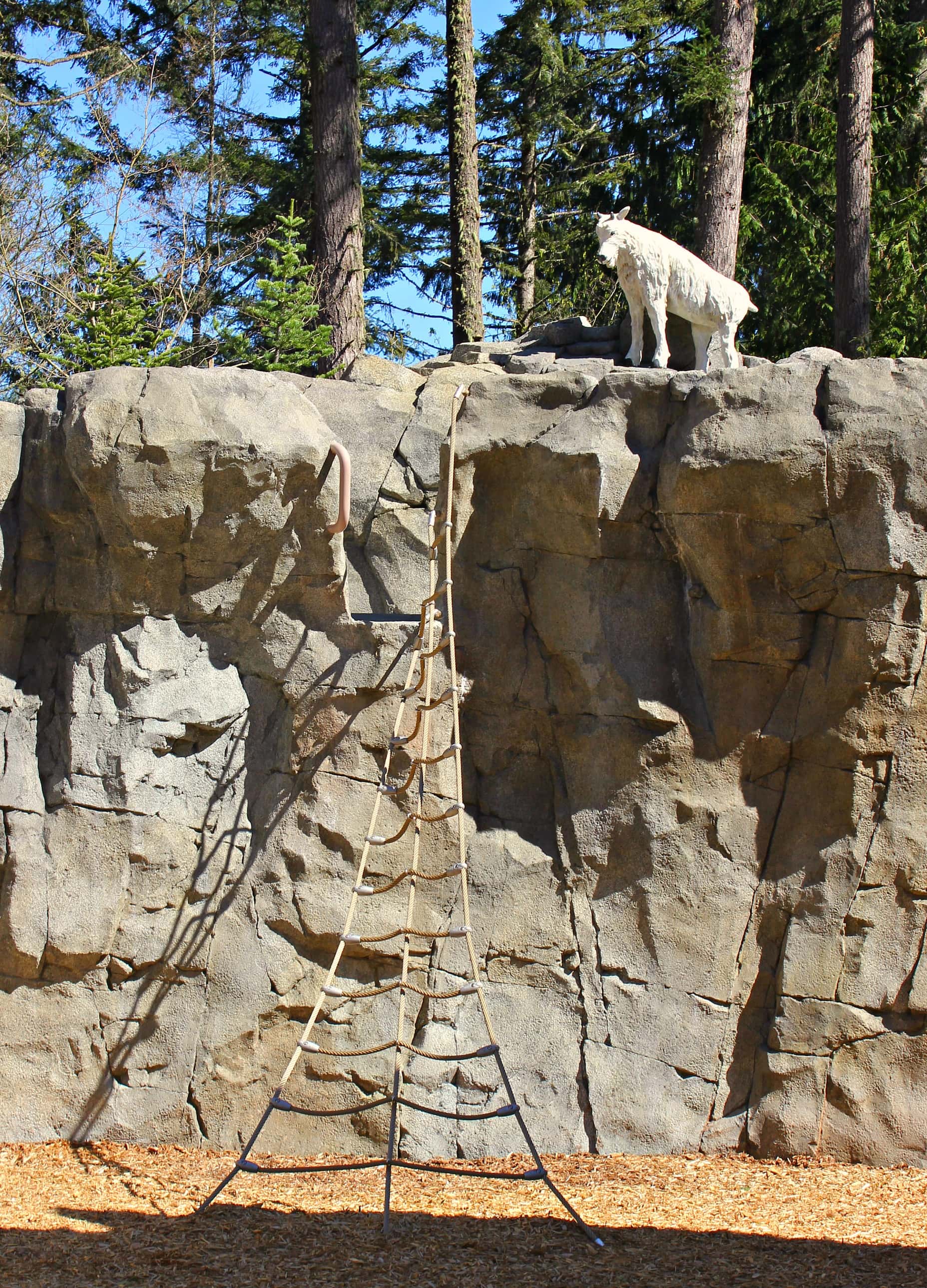 Climbing Area at Kids Trek