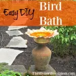 Put together this easy DIY Bird Bath to enjoy the birds in your yard throughout the year.