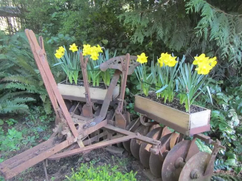 Old Machinery for flowers