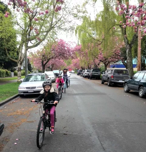 Victoria Bike Tour