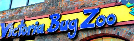 Victoria-Bug-Zoo