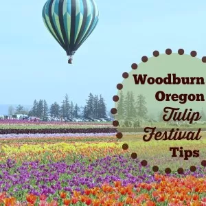 Woodburn Oregon Tulip Festival Tips