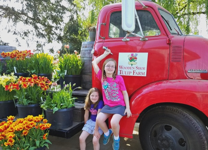 Wooden Shoe Tulip Festival in Oregon