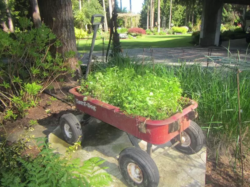 red wagon flowerbed
