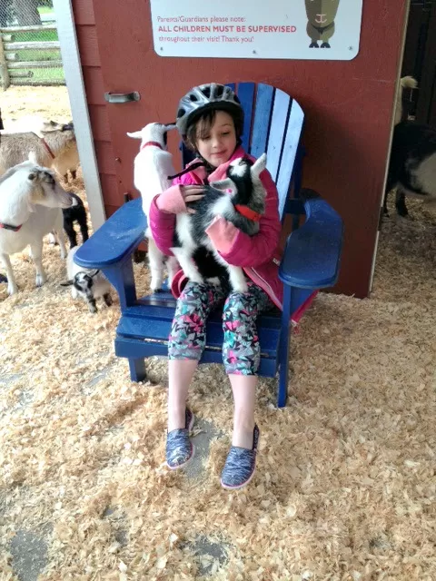 victoria petting zoo