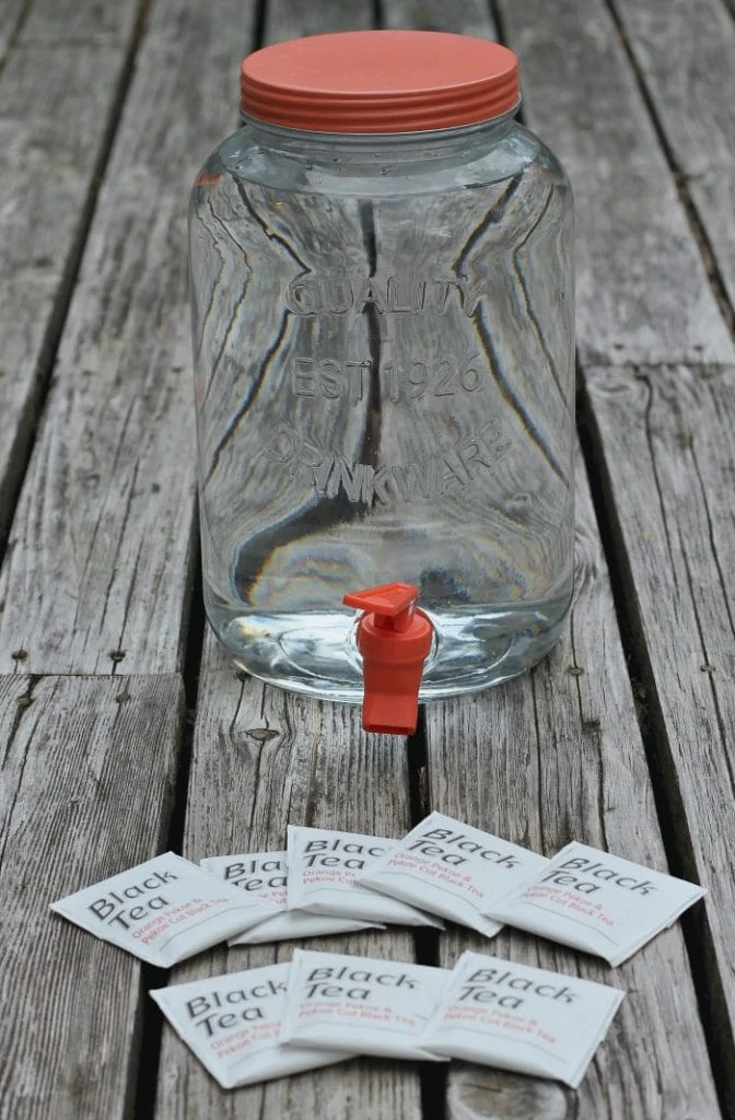 Ingredients for Sun Tea