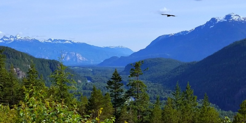 One of the many beautiful views of the water & Coast Mountains on the Sea to Sky Highway near Whistler BC