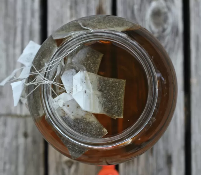 Sun Tea using Black Tea, Water & Sun