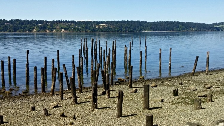 Titlow beach 1